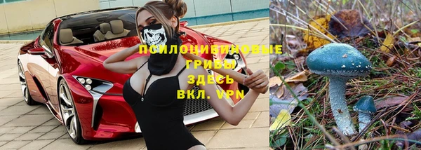 спиды Красноперекопск