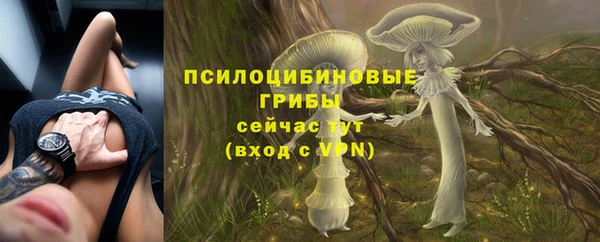 а пвп мука Краснослободск