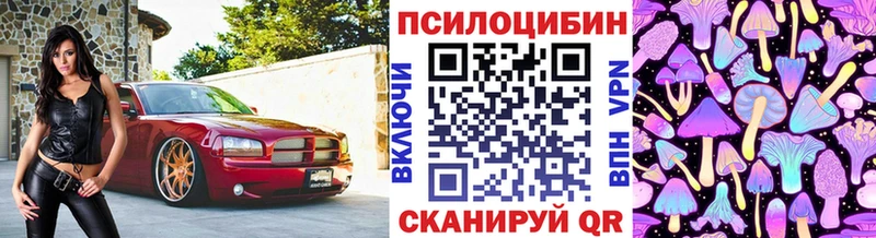 как найти наркотики  Лаишево  OMG зеркало  Галлюциногенные грибы MAGIC MUSHROOMS 